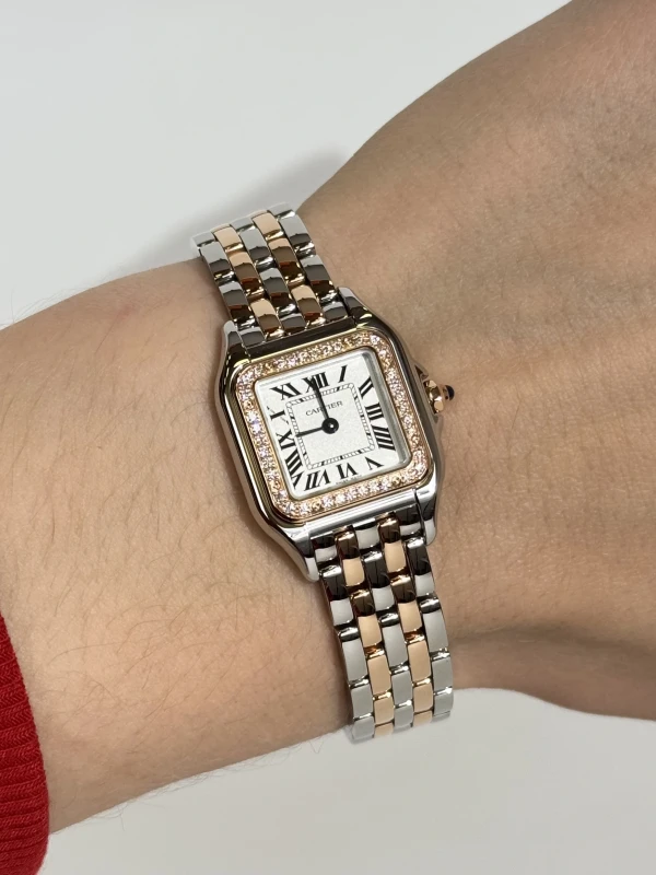 Cartier W3PN0014 5