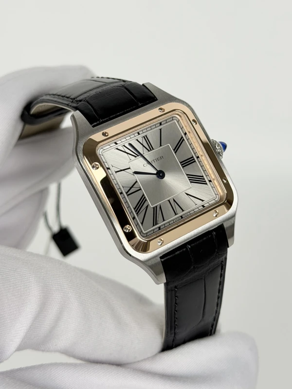 Cartier W2SA0037 2