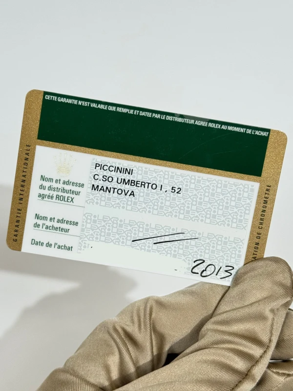 Rolex II 41mm Platinum 218206-0003 7