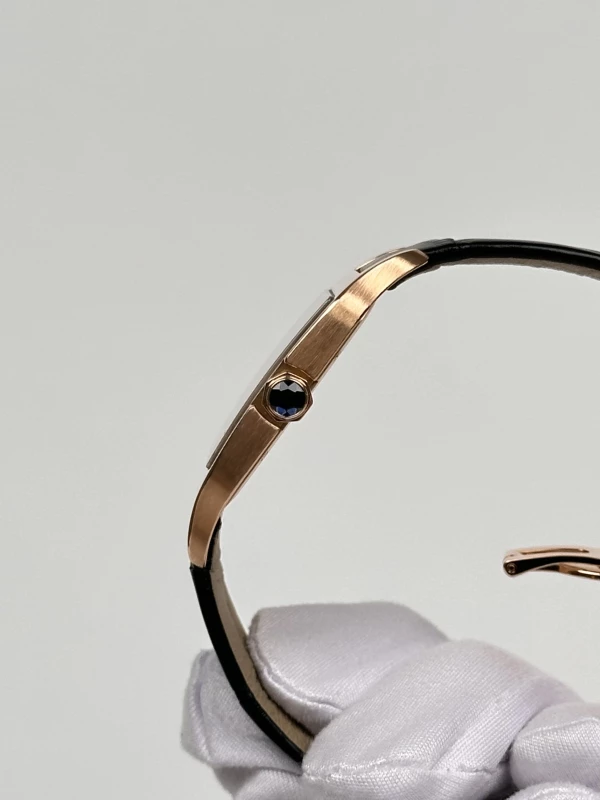 Cartier Dumont Small W2009251 6
