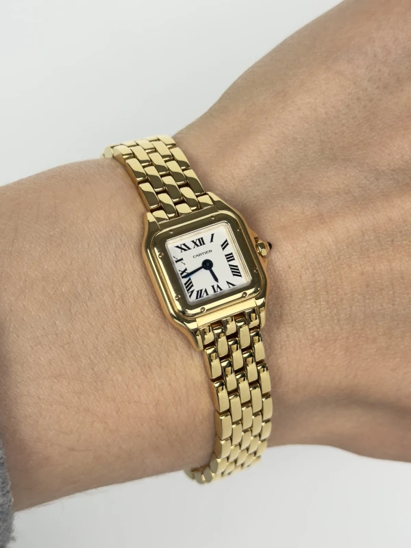 Cartier WGPN0016 4