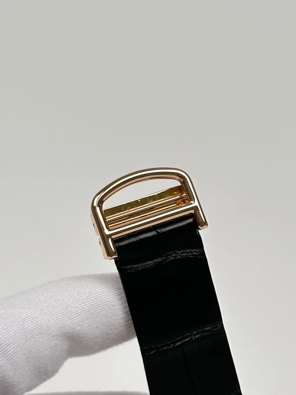 Cartier Dumont Small W2009251 8
