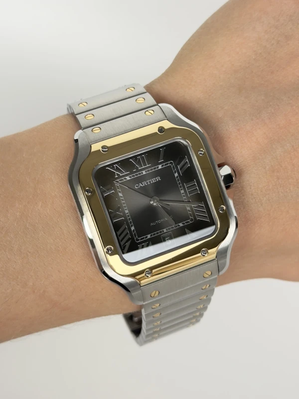 Cartier Large W2SA0030 5