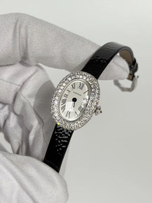 Cartier WJBA0050 4