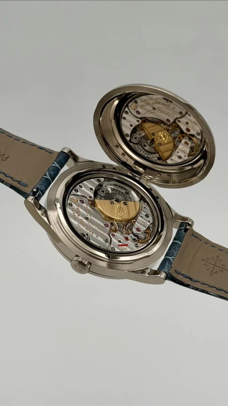 Patek Philippe Cloisonne Phare Jument 5089G-120 6