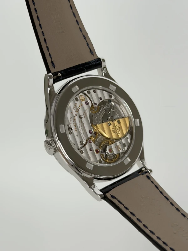 Patek Philippe Cygne Blanc 5077/100G-019 8