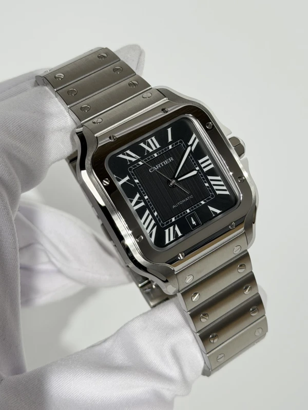 Cartier WSSA0096 2