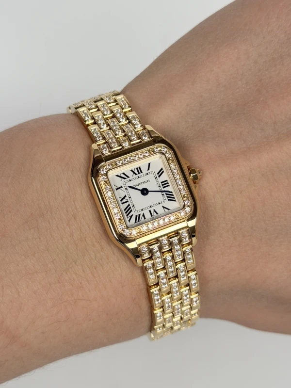 Cartier WJPN0059 4