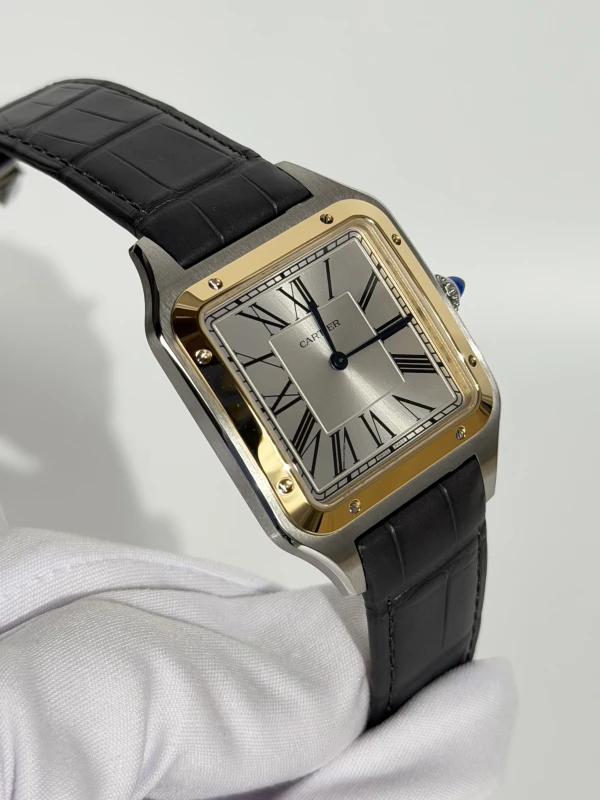 Cartier Large W2SA0034 2