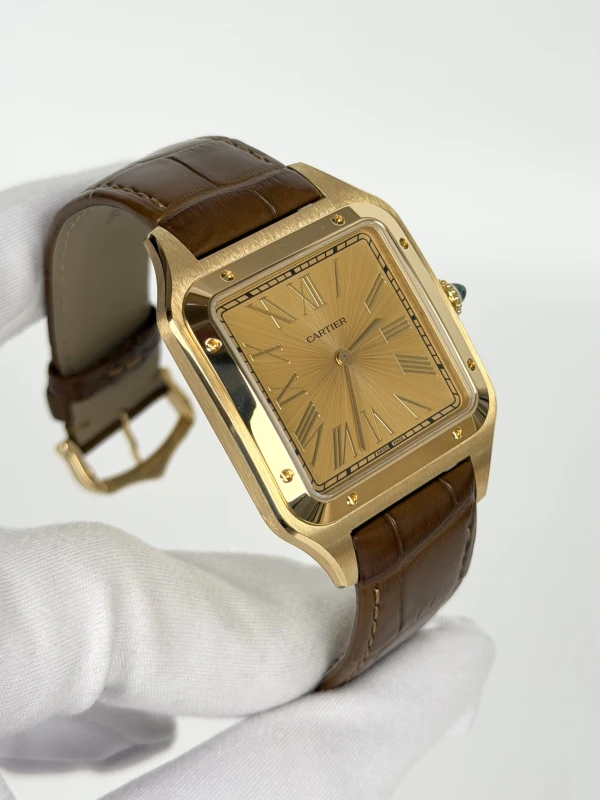Cartier WGSA0111 2