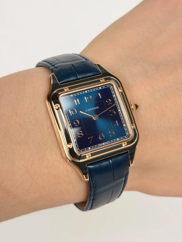 Cartier WGSA0098 6