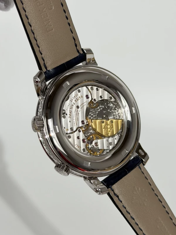 Patek Philippe 5102 Celestial Sky Moon 5102G-001 7