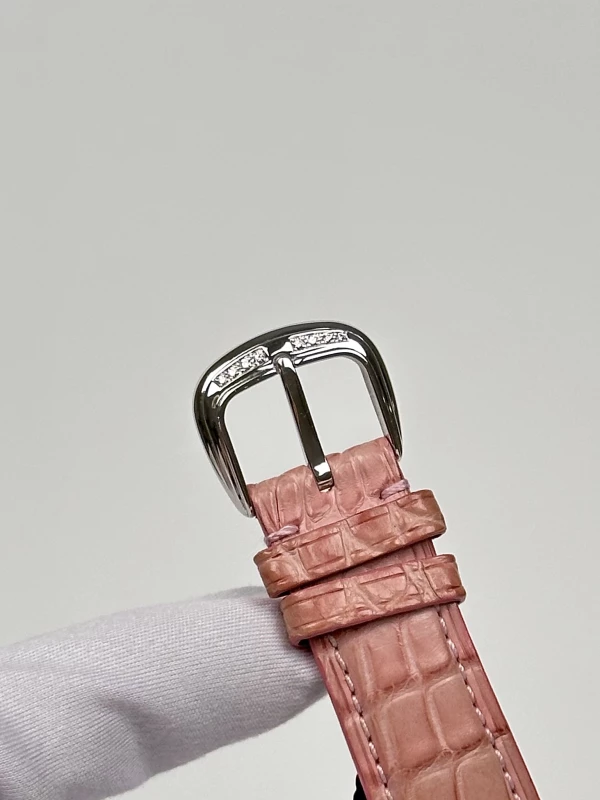 Franck Muller DM 39 BAG CD RU 5N 8