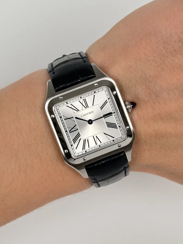 Cartier SANTOS-DUMONT WSSA0022 9