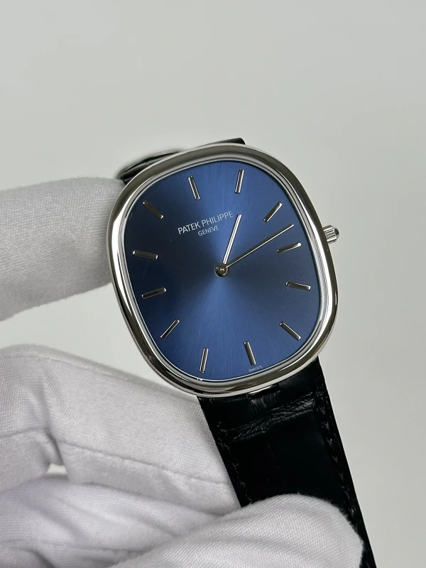 Patek Philippe 5738 5738P-001 3