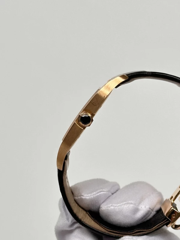 Cartier Santos-Dumont Large W2006951 6