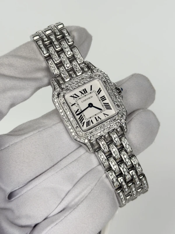 Cartier de Cartier WSPN0015FIX 2