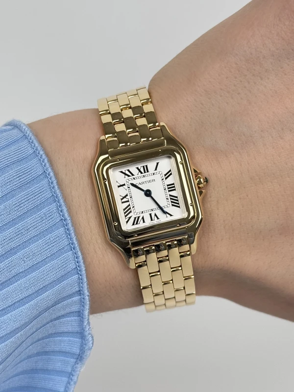 Cartier de Cartier Medium WGPN0009 5