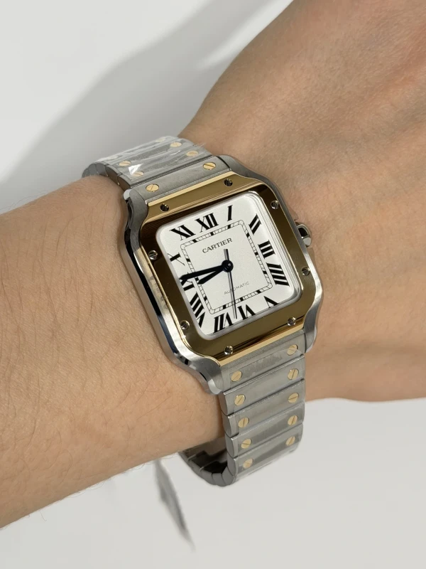 Cartier W2SA0016 4