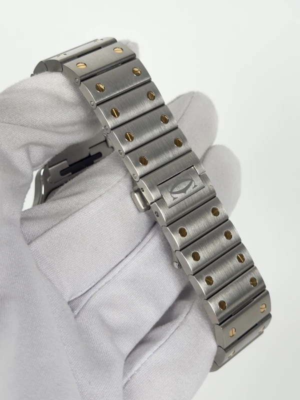Cartier Large W2SA0030 4