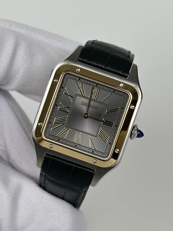 Cartier W2SA0028 4