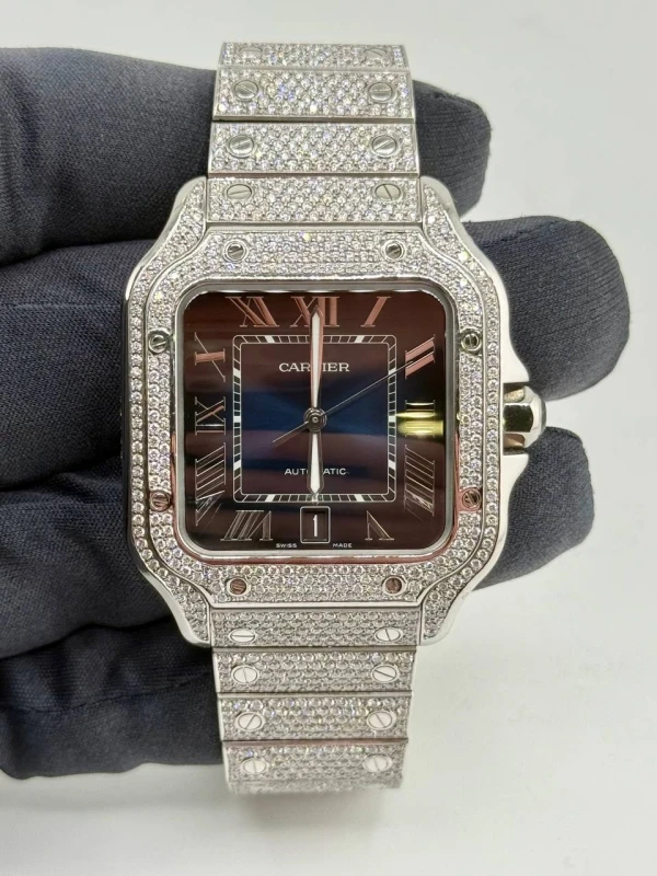 Cartier WSSA0030 2