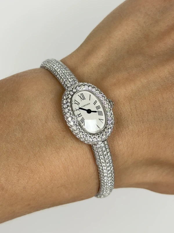 Cartier BAIGNOIRE WATCH HPI01854 5