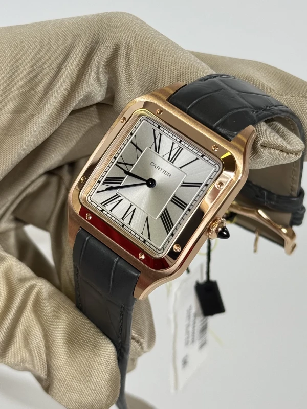 Cartier WGSA0032 4