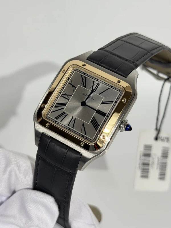 Cartier Large W2SA0034 3