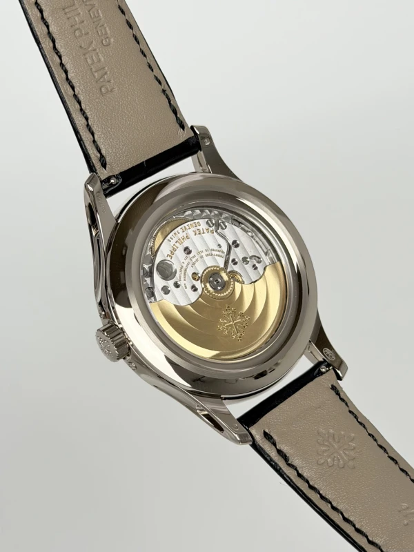 Patek Philippe ANNUAL CALENDAR 5205 5205G-013 6