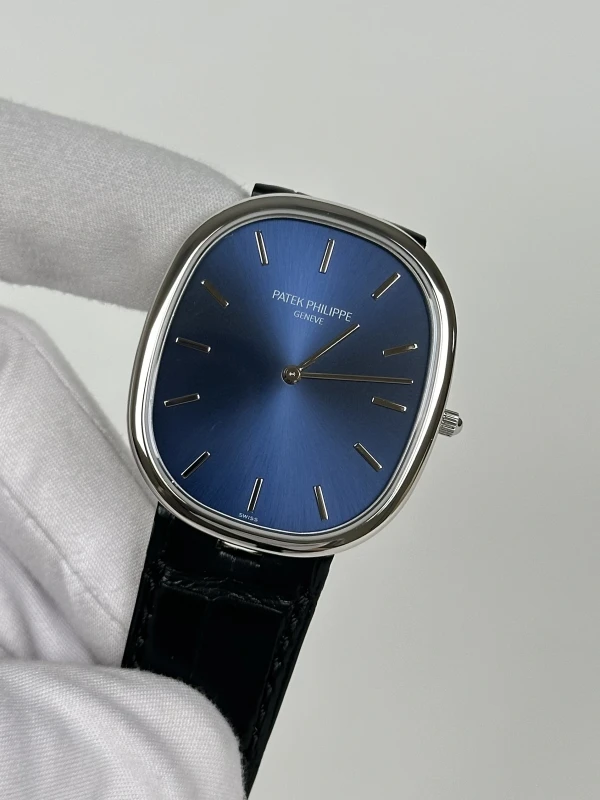Patek Philippe 5738 5738P-001 4