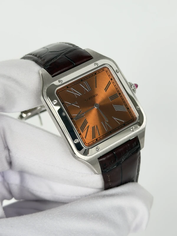Cartier WGSA0113 2