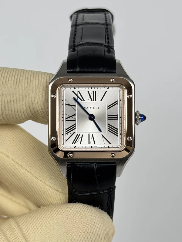 Cartier W2SA0012 2