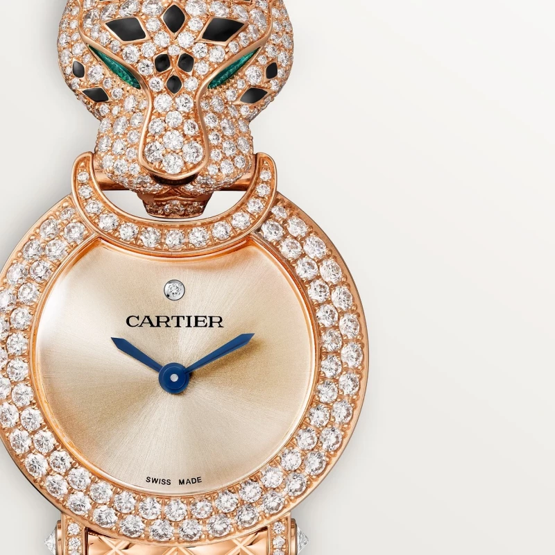 Cartier DE CARTIER WATCH HPI01510 3