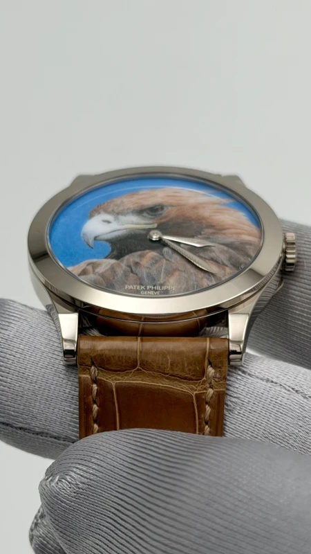 Patek Philippe 5089G-058 6