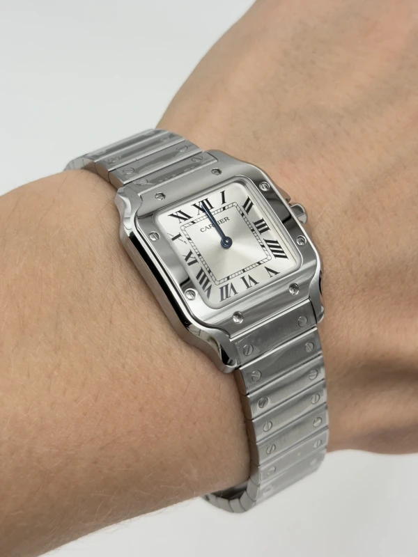 Cartier WSSA0082 6