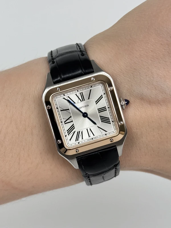 Cartier W2SA0012 9