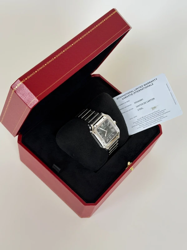 Cartier WSSA0061 7