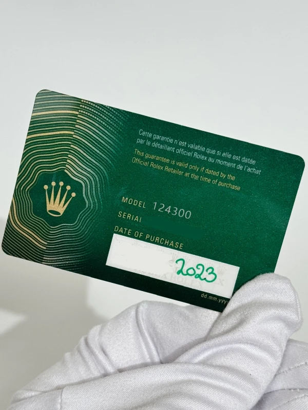 Rolex 41 mm Steel 124300-0005 7