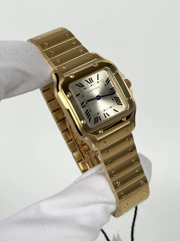 Cartier WGSA0107 2