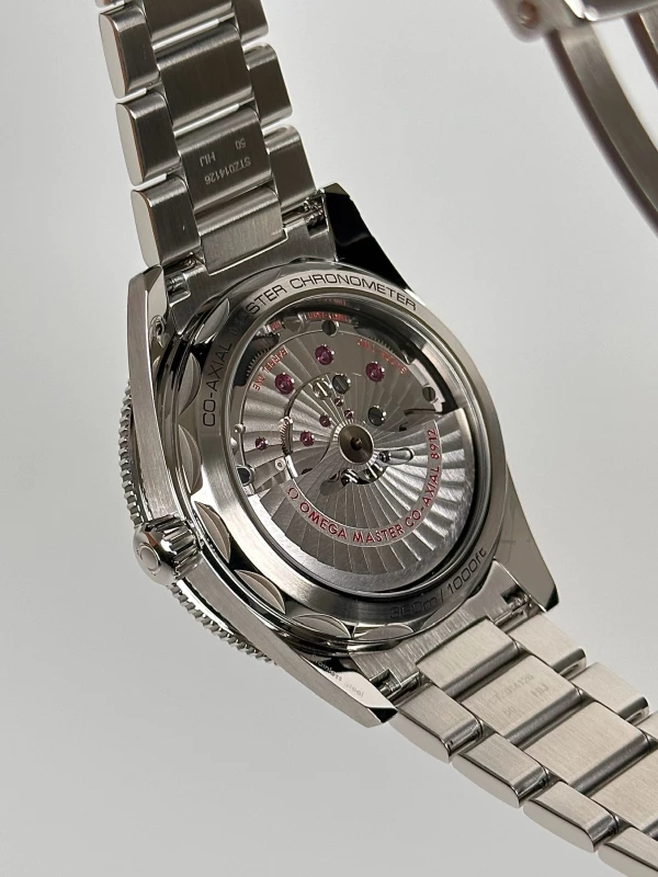 Omega 234.30.41.21.03.001 9