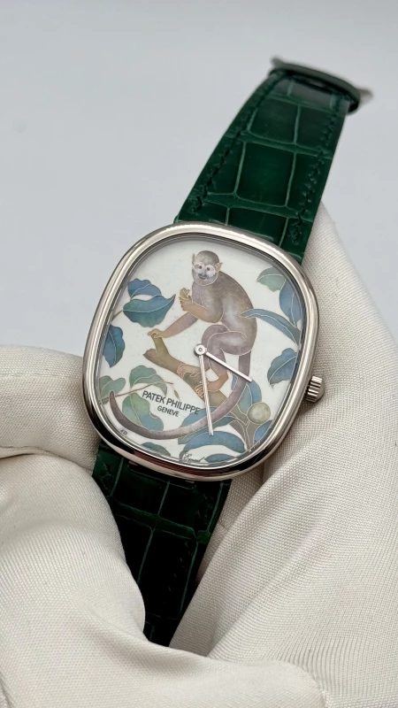 Patek Philippe Monkey 5738/50G-014 3