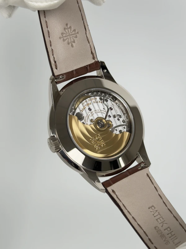 Patek Philippe Grand Complications 5320G-011 8