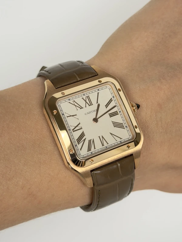 Cartier WGSA0112 7