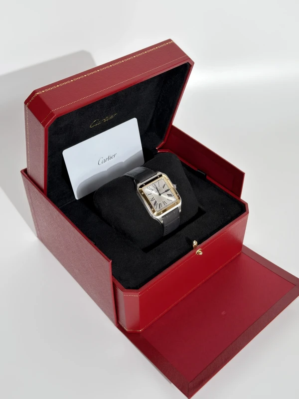 Cartier Large W2SA0034 7