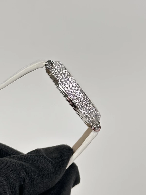 Cartier COMPLICATIONS EVOL D'UN PHOENIX HPI00633 5