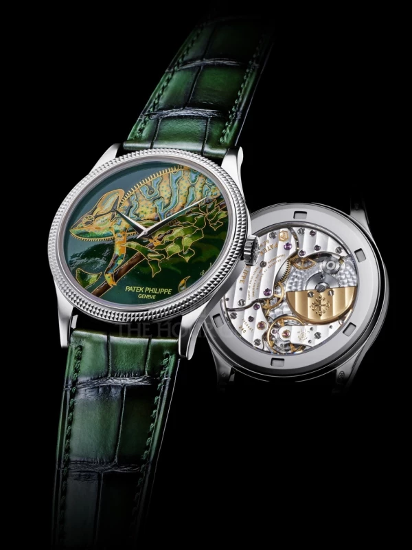 Patek Philippe Chameleon 5177G-026 3