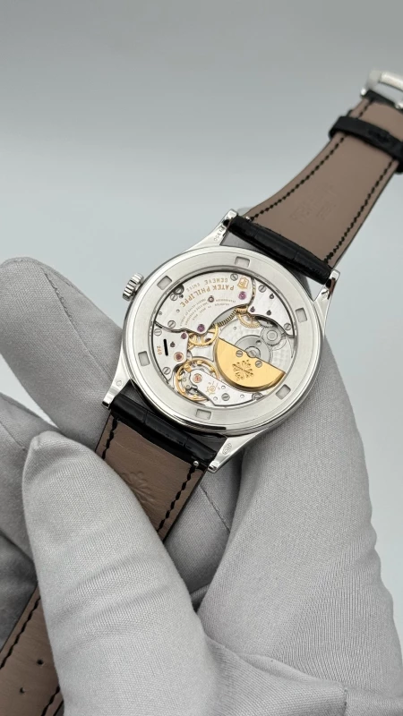 Patek Philippe Notre Dame Enamel 5077P-099 8
