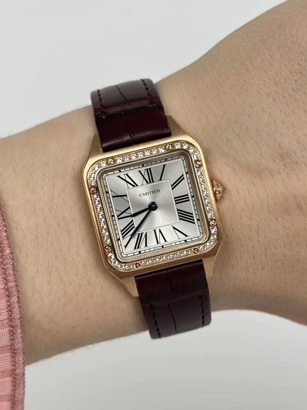 Cartier WJSA0017 9
