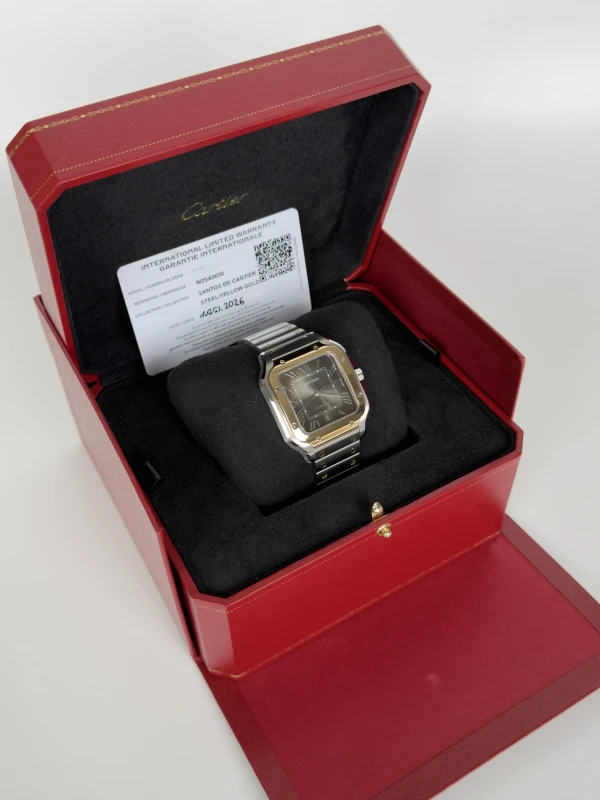 Cartier Large W2SA0030 7